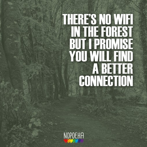 No wifi in the forest