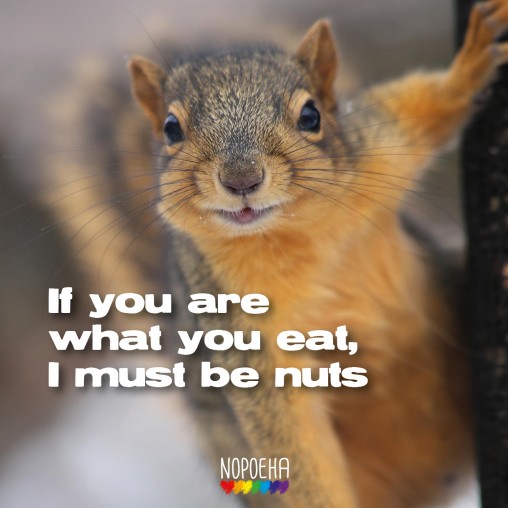 I must be nuts