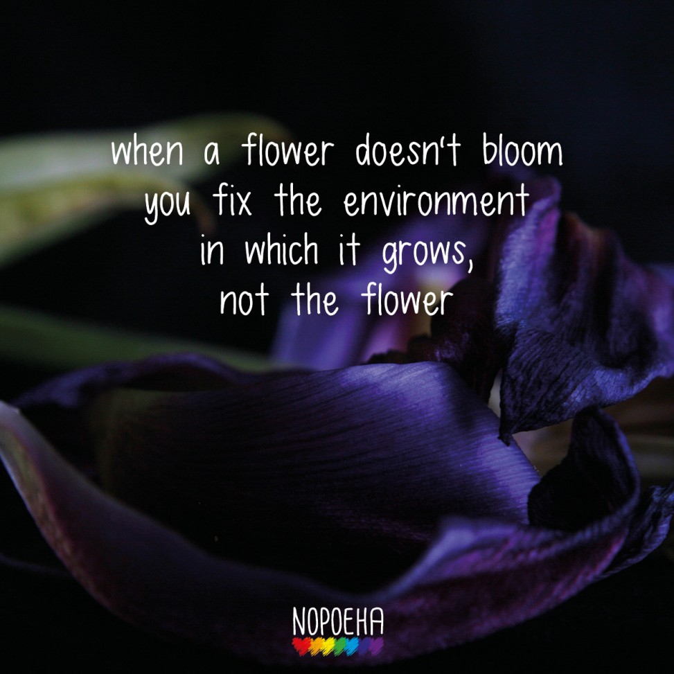when a flower doesn't bloom